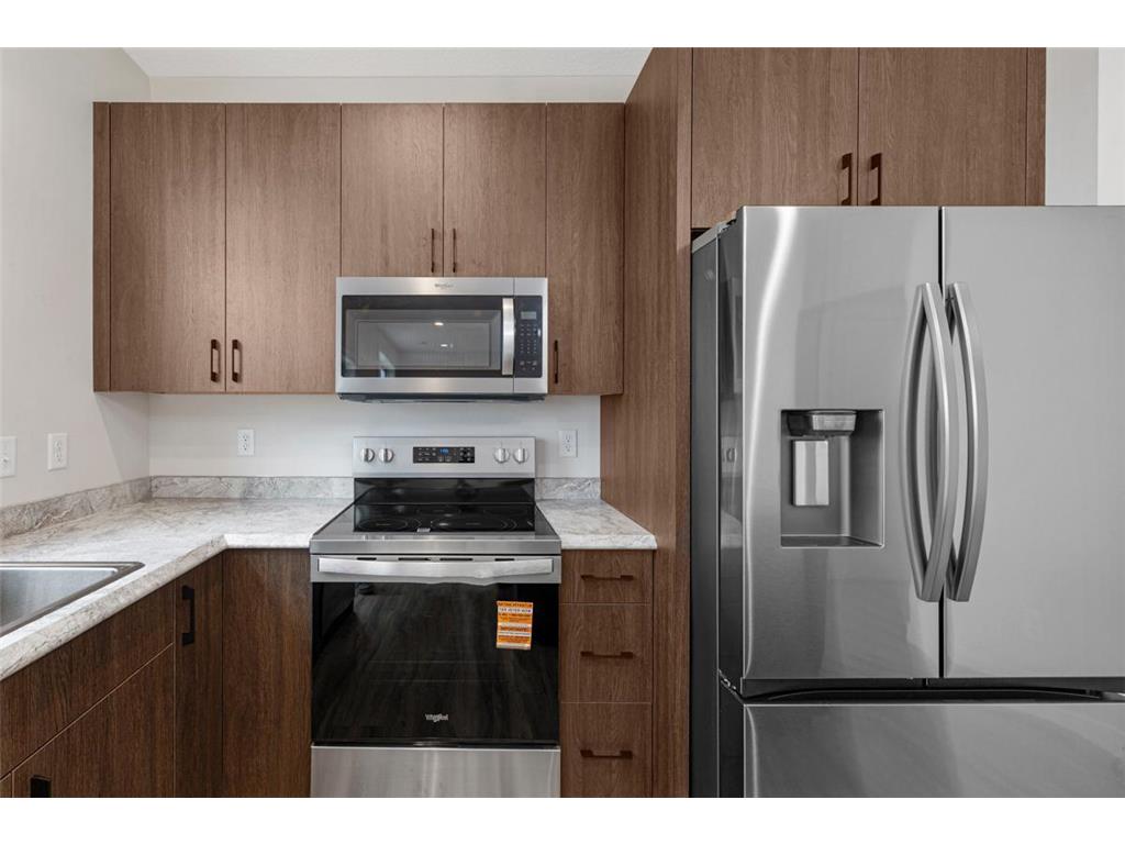 809 Viburnum Street Belle Plaine MN 56011 6800488 image9