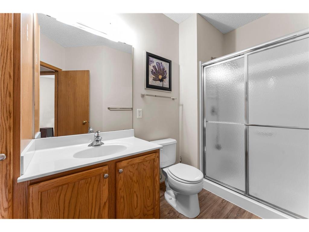 809 Woodduck Drive Woodbury MN 55125 7067816 image17