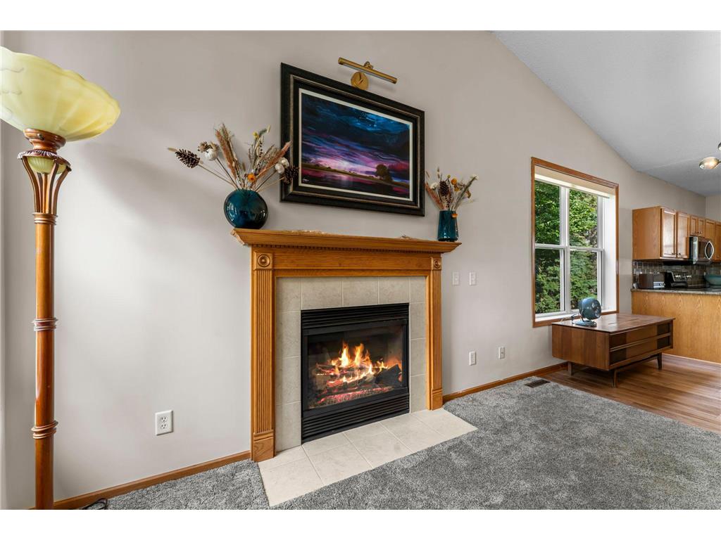 809 Woodduck Drive Woodbury MN 55125 7067816 image28