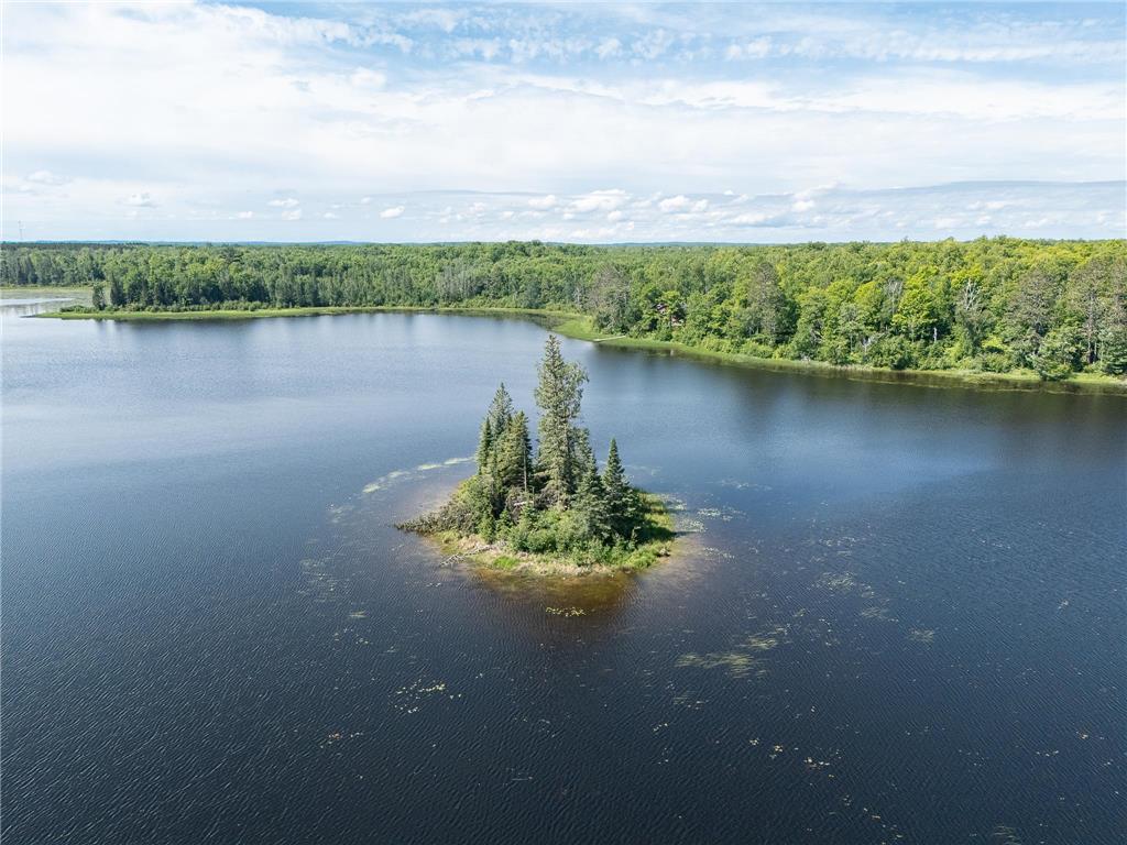 8090 County 52 NE Remer MN 56672 - Wilson 7099173 image10
