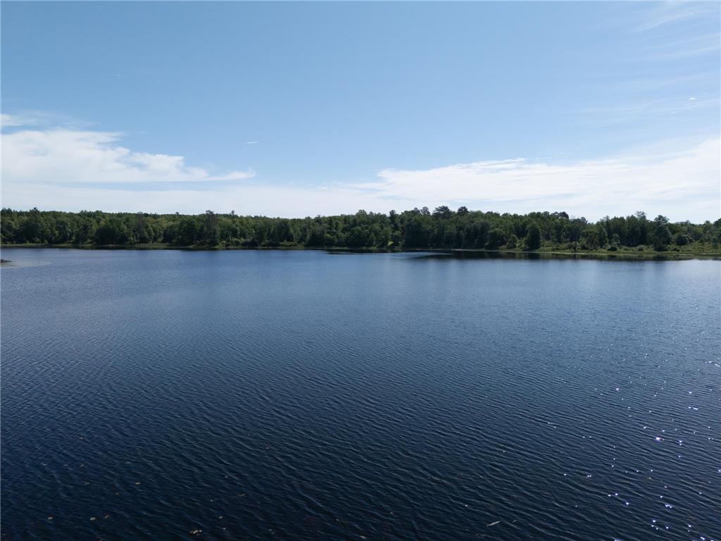 8090 County 52 NE Remer MN 56672 - Wilson 7099173 image12