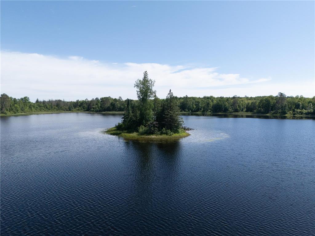 8090 County 52 NE Remer MN 56672 - Wilson 7099173 image14