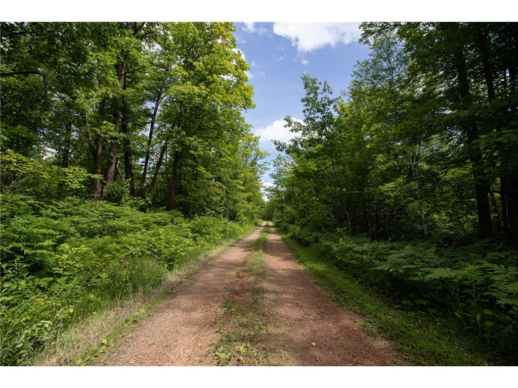 8090 County 52 NE Remer MN 56672 - Wilson 7099173 image54