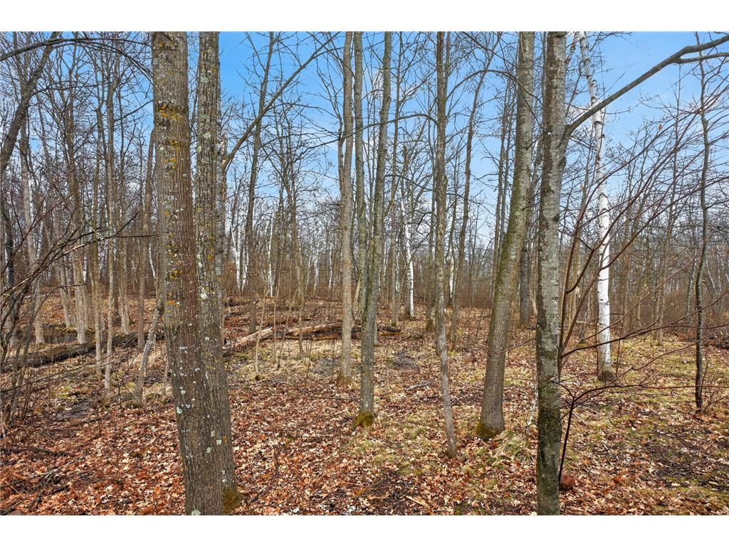 8092 Dakota Court SW Meadowbrook Twp MN 56466 7043656 image7