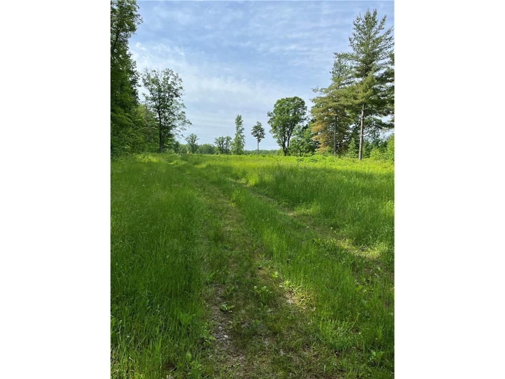 81 acres Pinnow Road Thornapple Twp WI 54819 - Bass Lake 6755712 image1