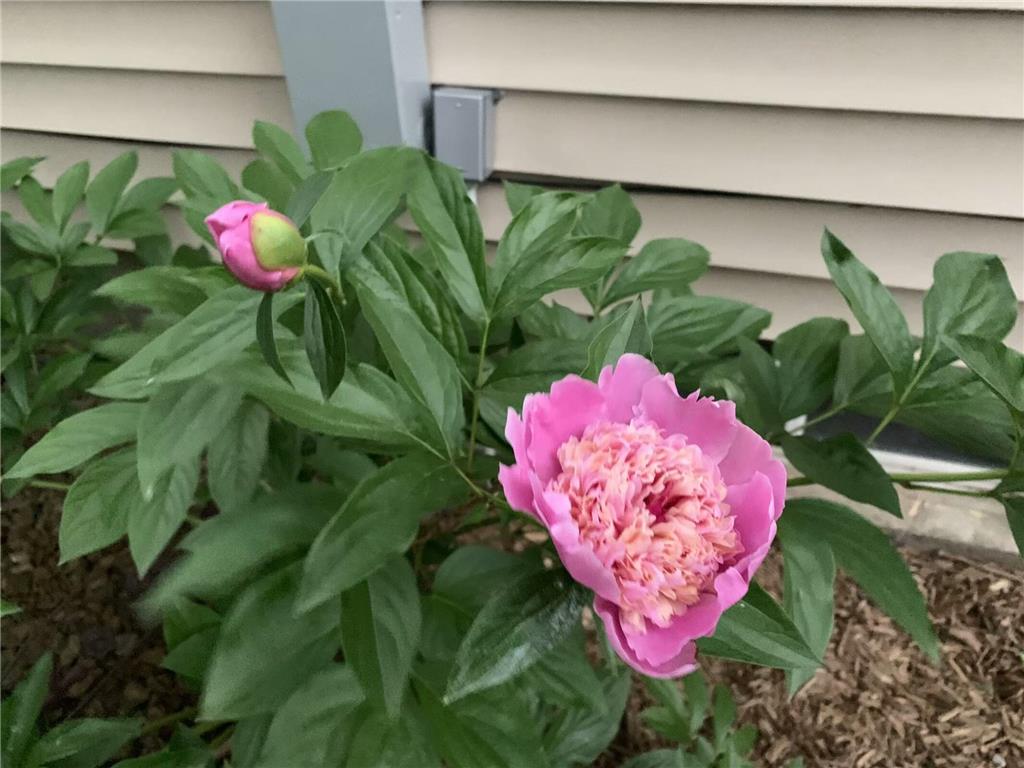 810 5th Street W Hastings MN 55033 7042197 image32