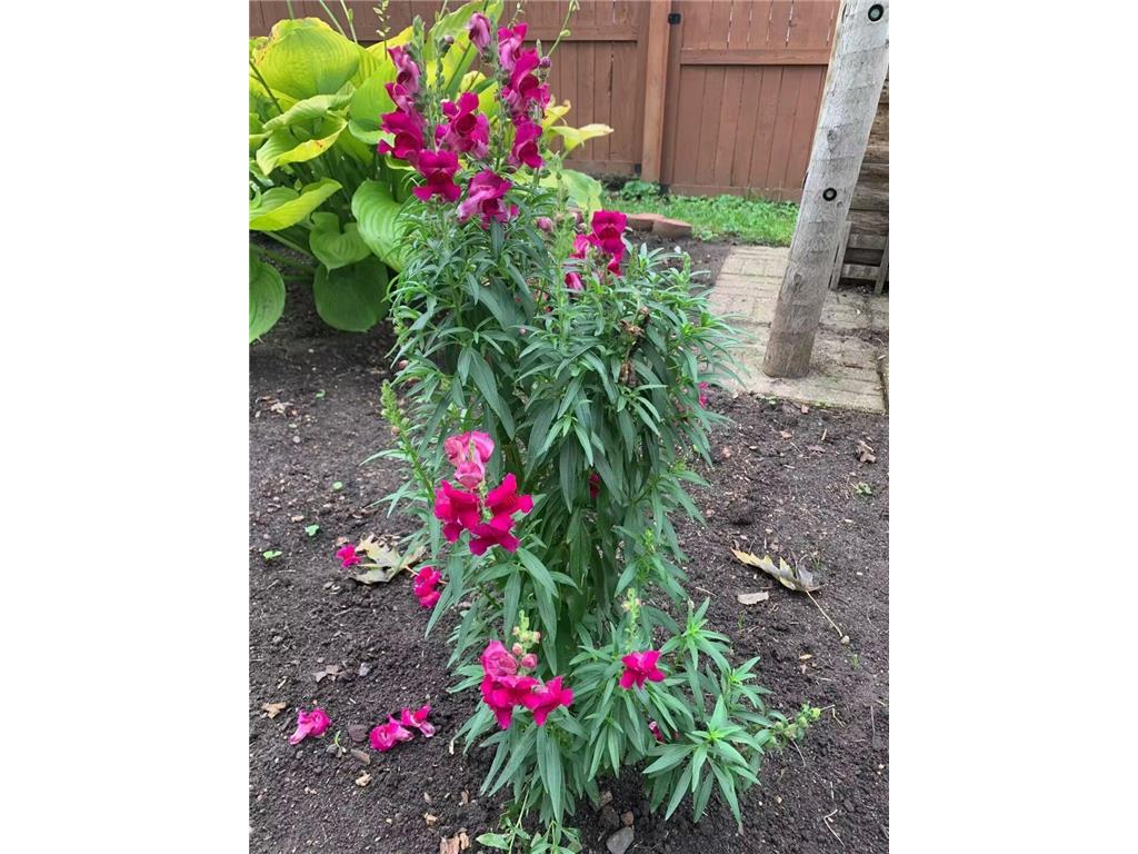 810 5th Street W Hastings MN 55033 7042197 image33