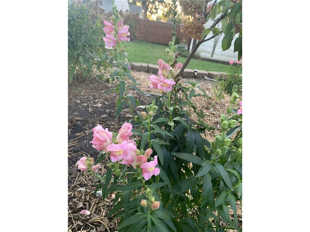 810 5th Street W Hastings MN 55033 7042197 image34