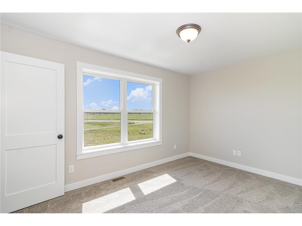 811 Viburnum Street Belle Plaine MN 56011 6727681 image15