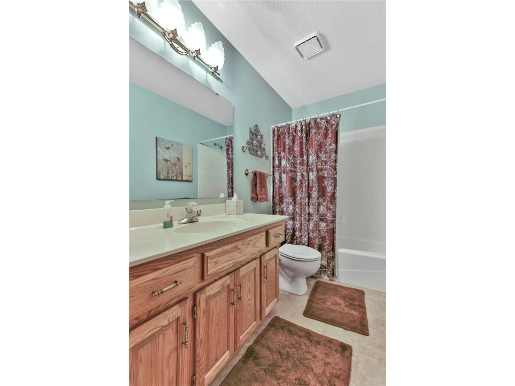 8113 Jewel Avenue S Cottage Grove MN 55016 7099443 image25