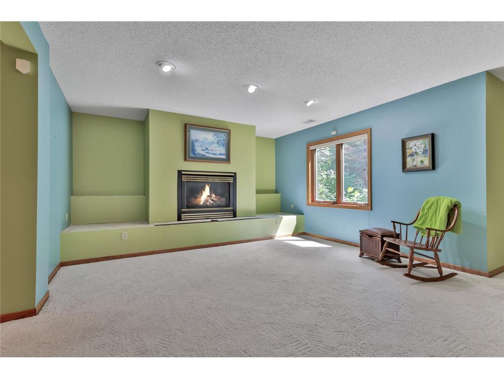 8113 Jewel Avenue S Cottage Grove MN 55016 7099443 image32