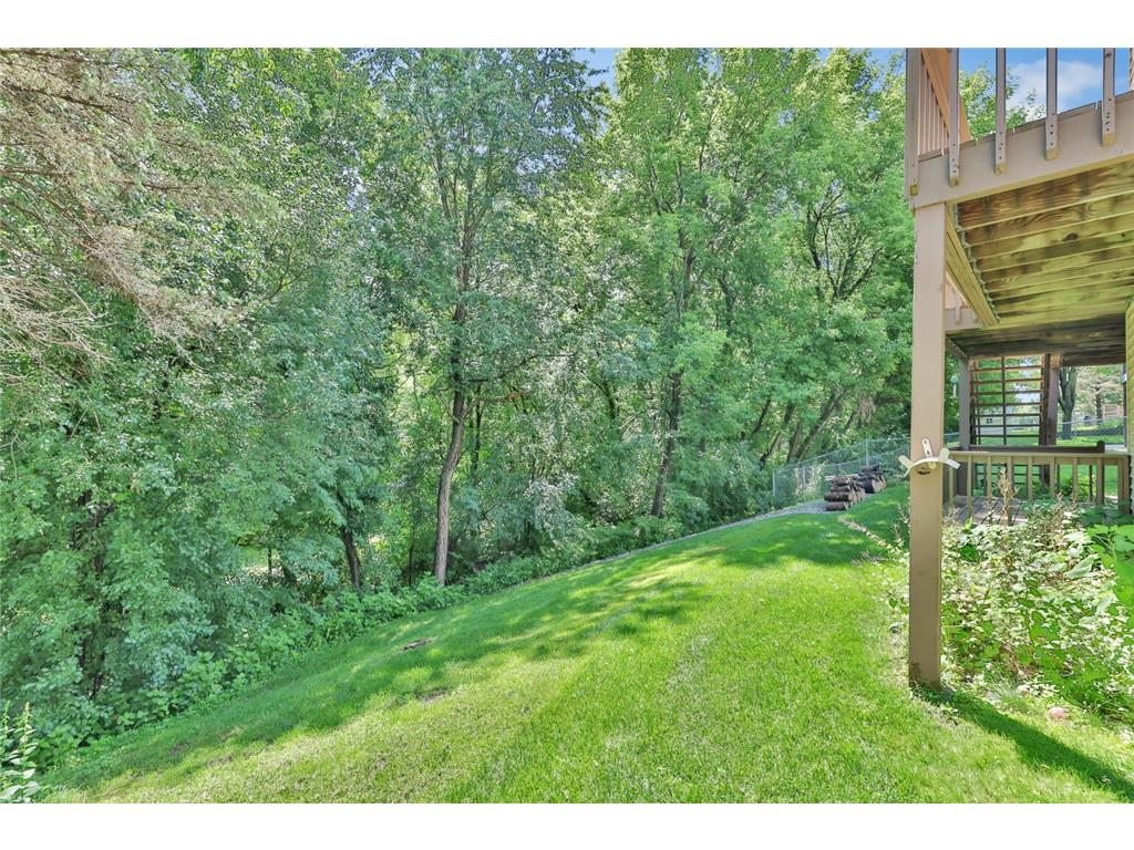 8113 Jewel Avenue S Cottage Grove MN 55016 7099443 image6