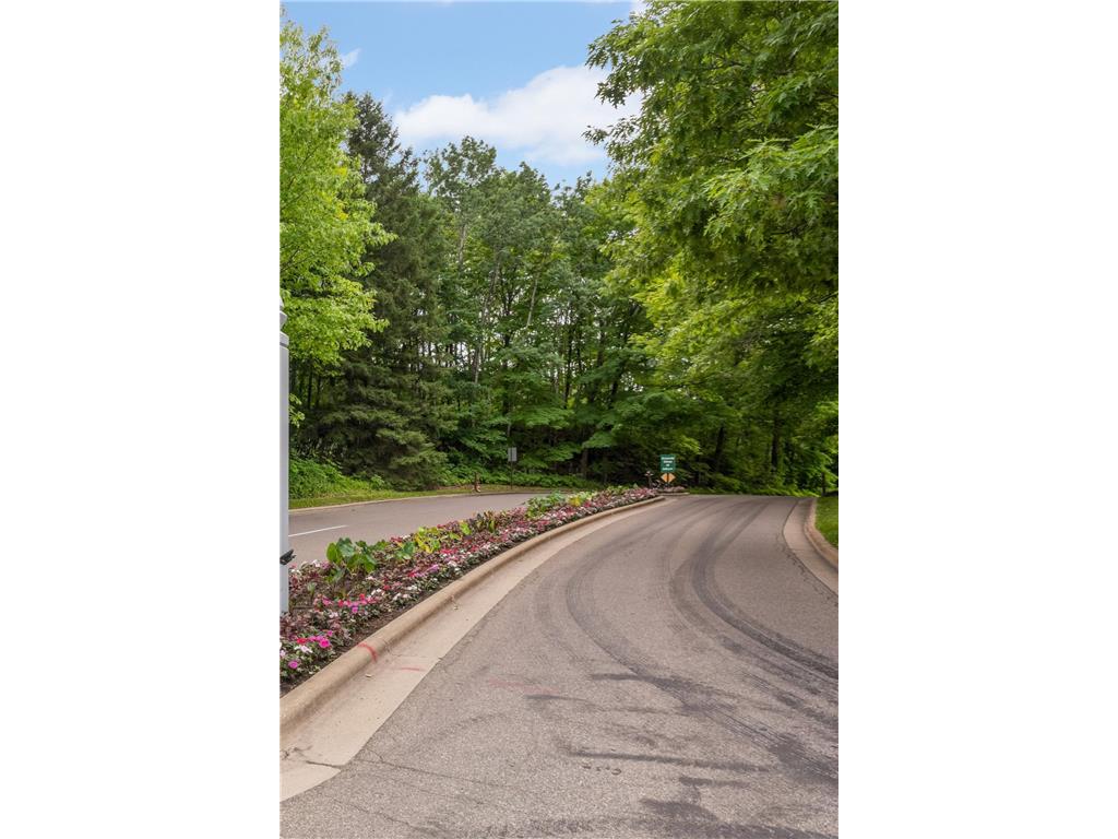 8115 Victoria Drive Victoria MN 55386 7102407 image21
