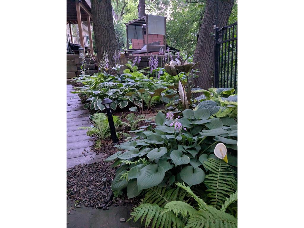 8116 Clifford Circle Inver Grove Heights MN 55076 7036749 image44