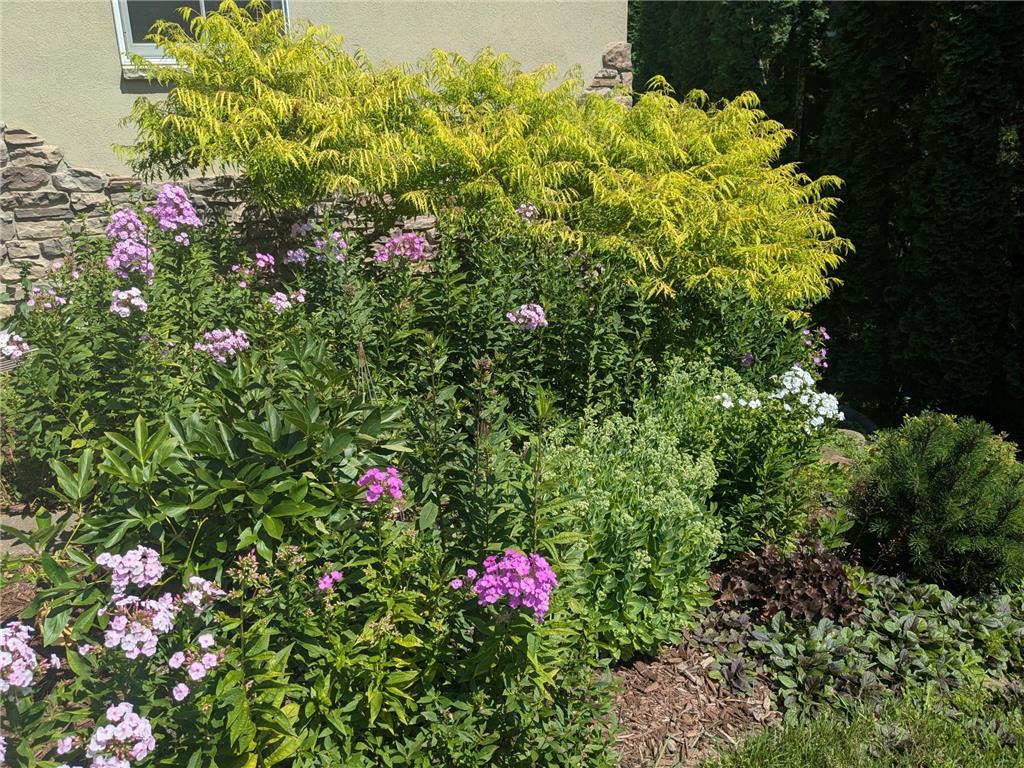 8116 Clifford Circle Inver Grove Heights MN 55076 7036749 image45