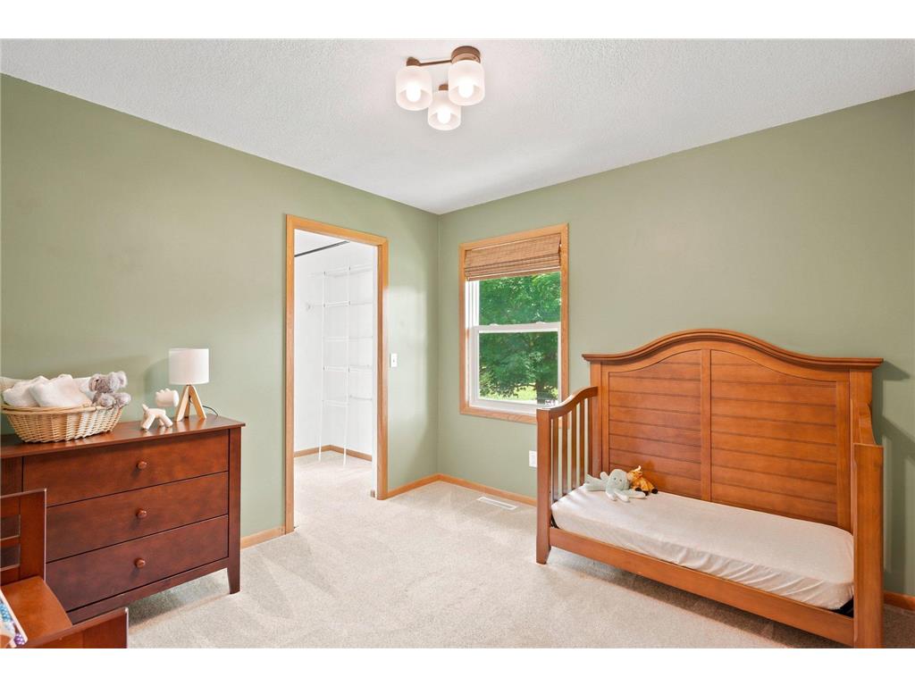 8117 Dakota Lane Chanhassen MN 55317 7068246 image17