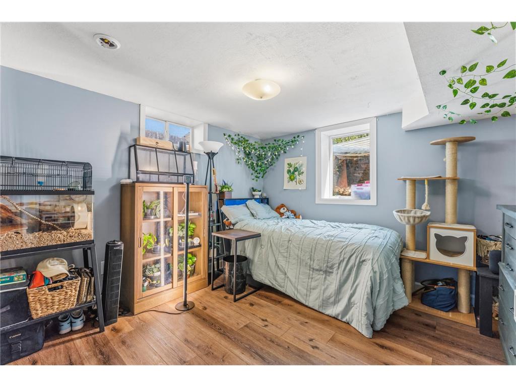 812 14th Avenue NE Rochester MN 55906 7053713 image26