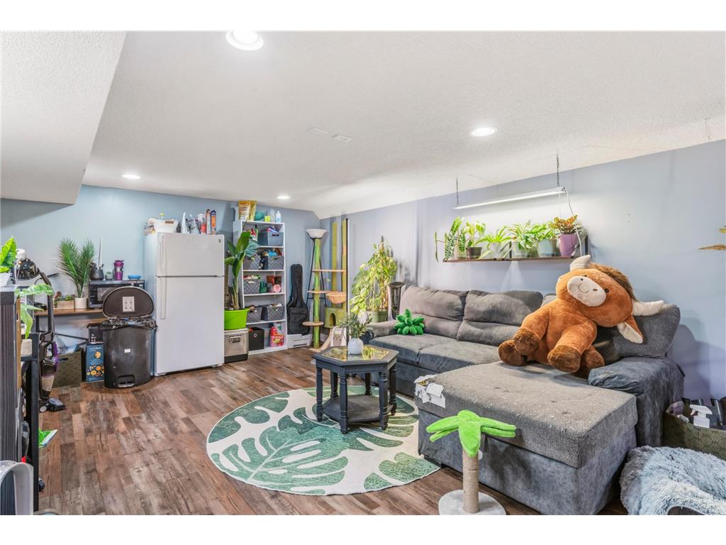 812 14th Avenue NE Rochester MN 55906 7053713 image29