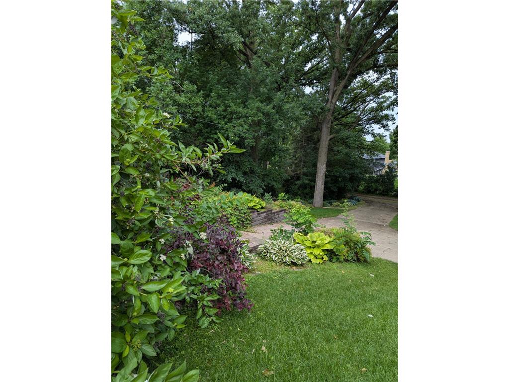 812 1st Avenue SE Long Prairie MN 56347 7108717 image44