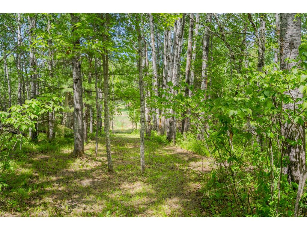 812 Spruce Grove Lane NW Bemidji MN 56601 7089078 image34