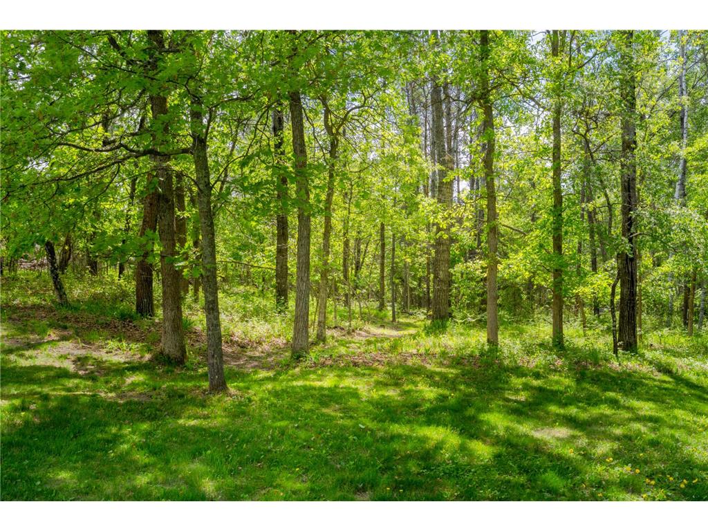 812 Spruce Grove Lane NW Bemidji MN 56601 7089078 image35