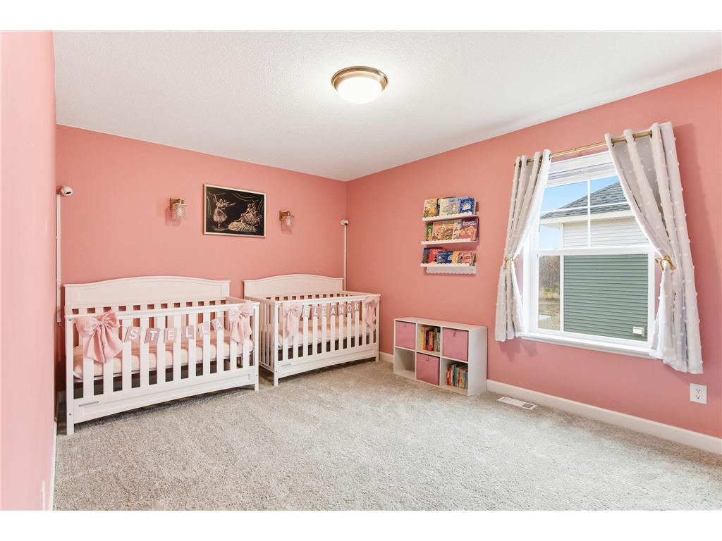 8120 149th Lane NW Ramsey MN 55303 7081445 image22