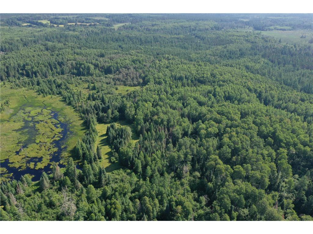 8124 Virginia Ely Rd. Babbitt MN 55706 7061403 image5