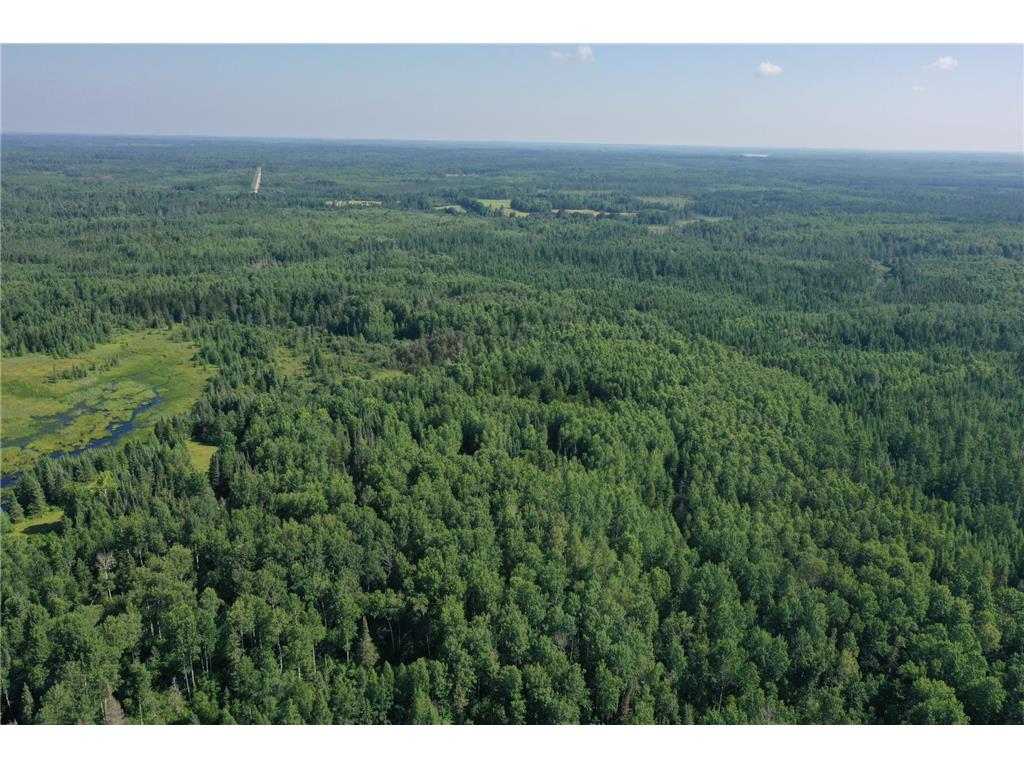 8124 Virginia Ely Rd. Babbitt MN 55706 7061403 image6
