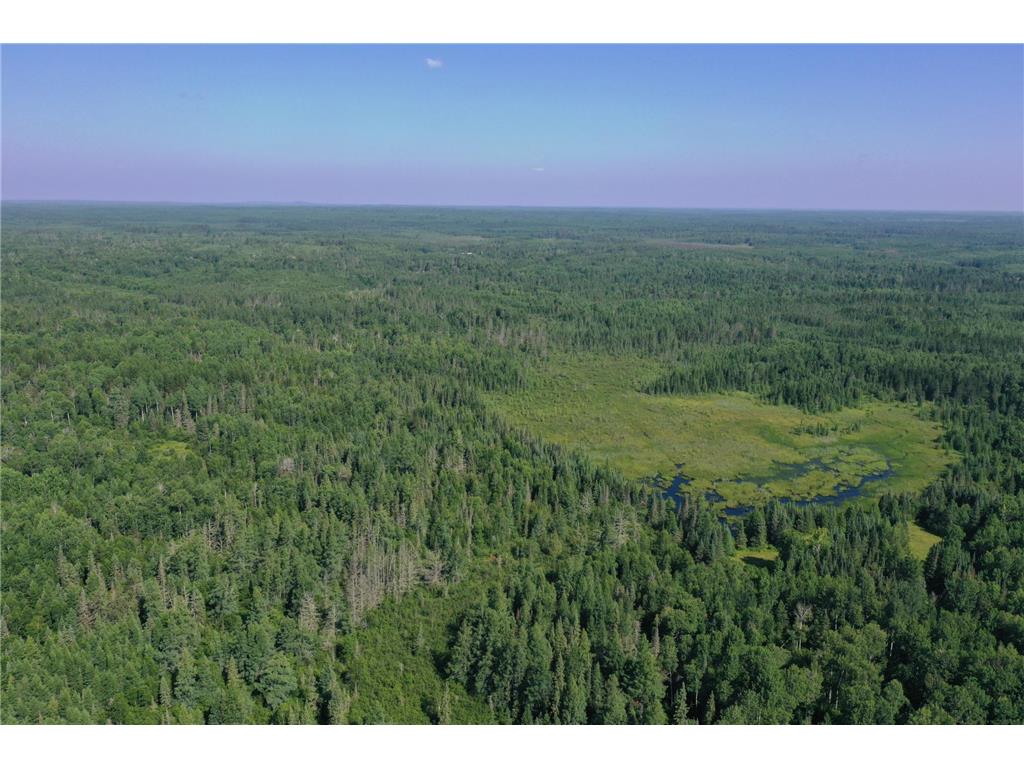 8124 Virginia Ely Rd. Babbitt MN 55706 7061403 image7