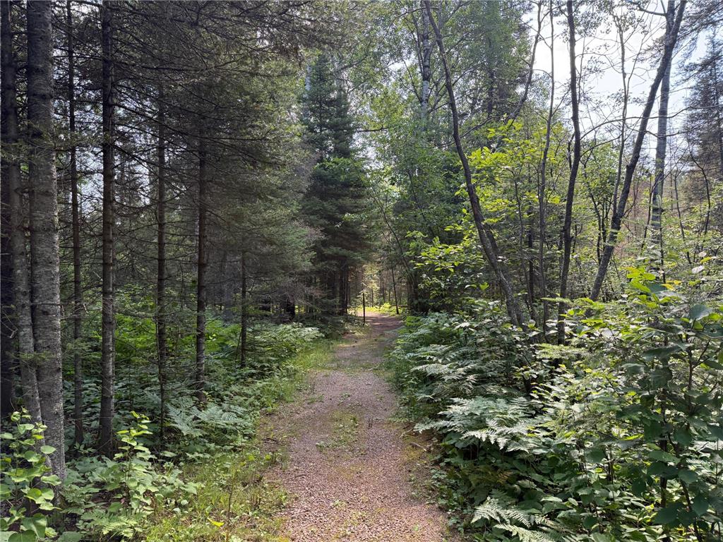 8124 Virginia Ely Rd. Babbitt MN 55706 7061403 image80