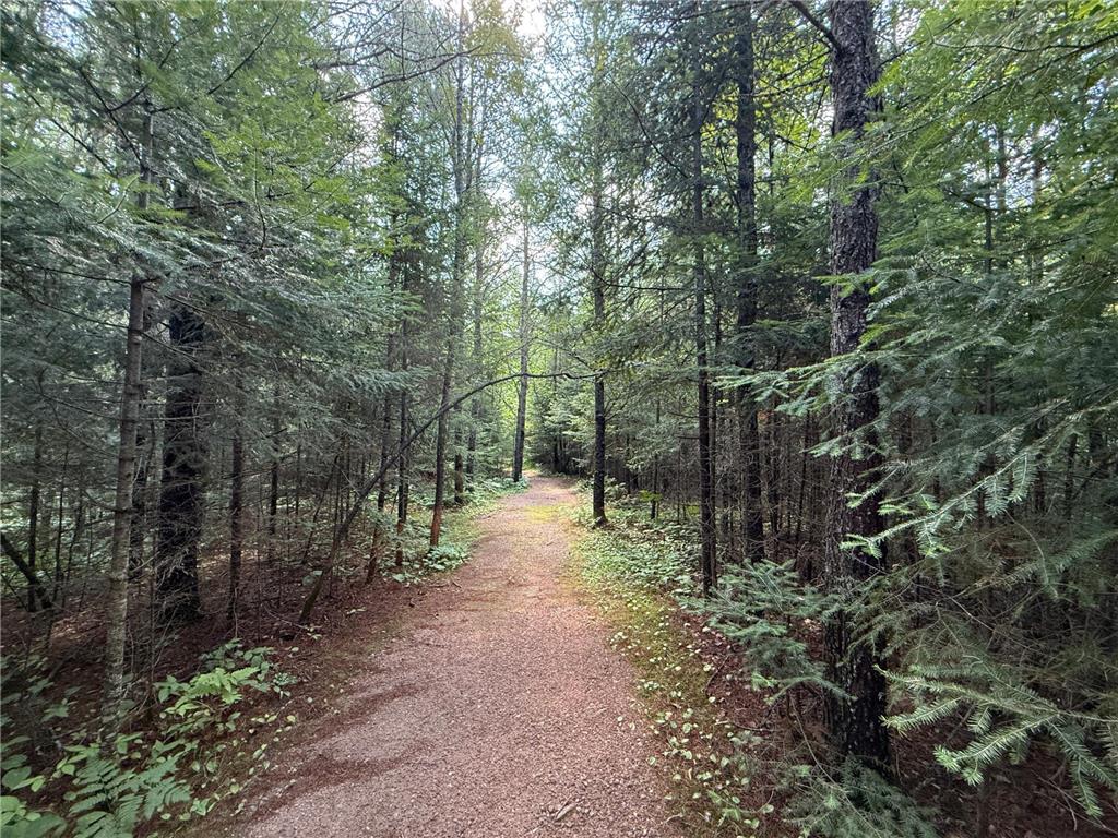 8124 Virginia Ely Rd. Babbitt MN 55706 7061403 image81