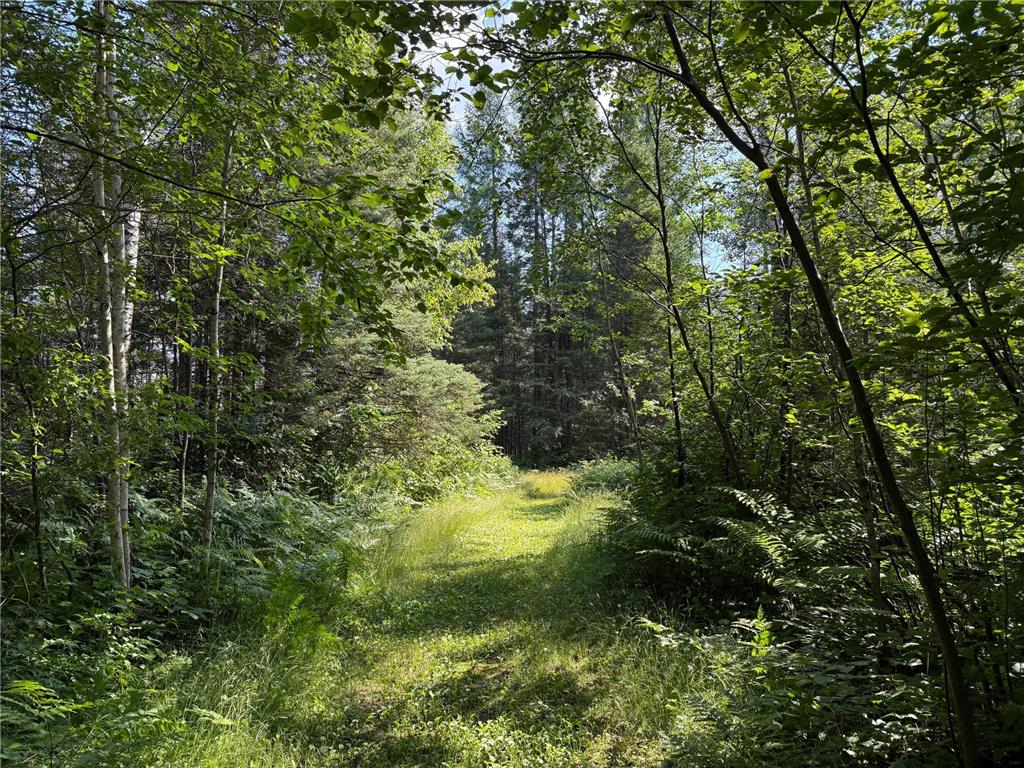 8124 Virginia Ely Rd. Babbitt MN 55706 7061403 image82
