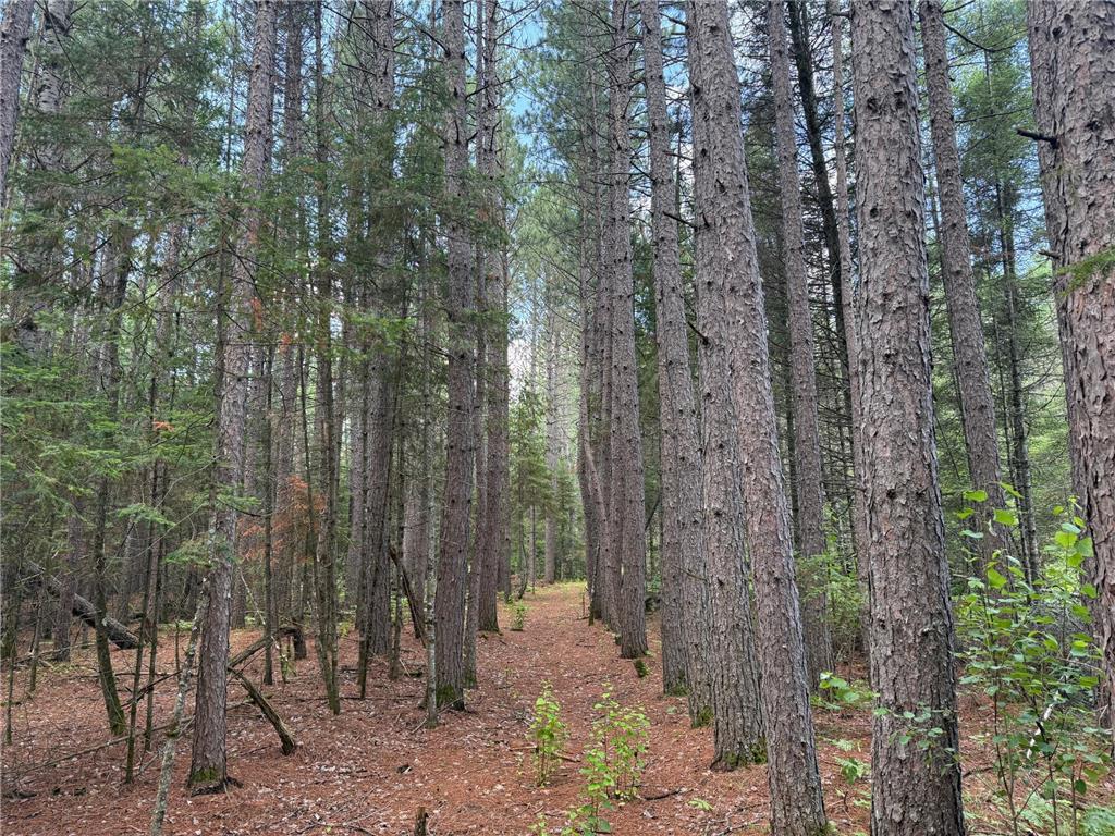 8124 Virginia Ely Rd. Babbitt MN 55706 7061403 image83