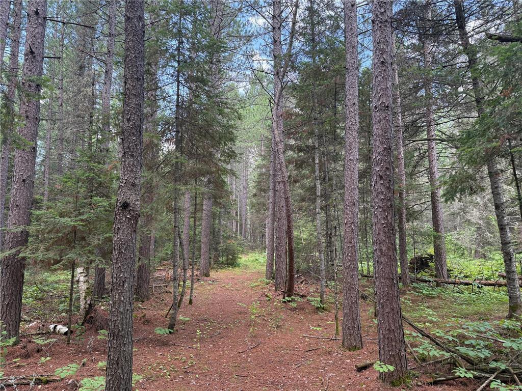 8124 Virginia Ely Rd. Babbitt MN 55706 7061403 image84