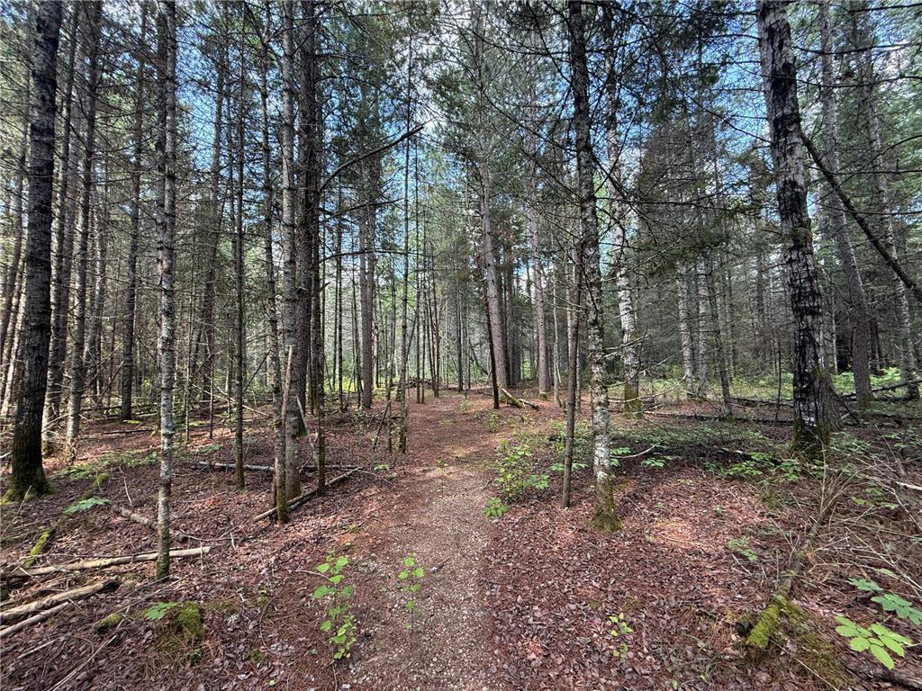 8124 Virginia Ely Rd. Babbitt MN 55706 7061403 image85