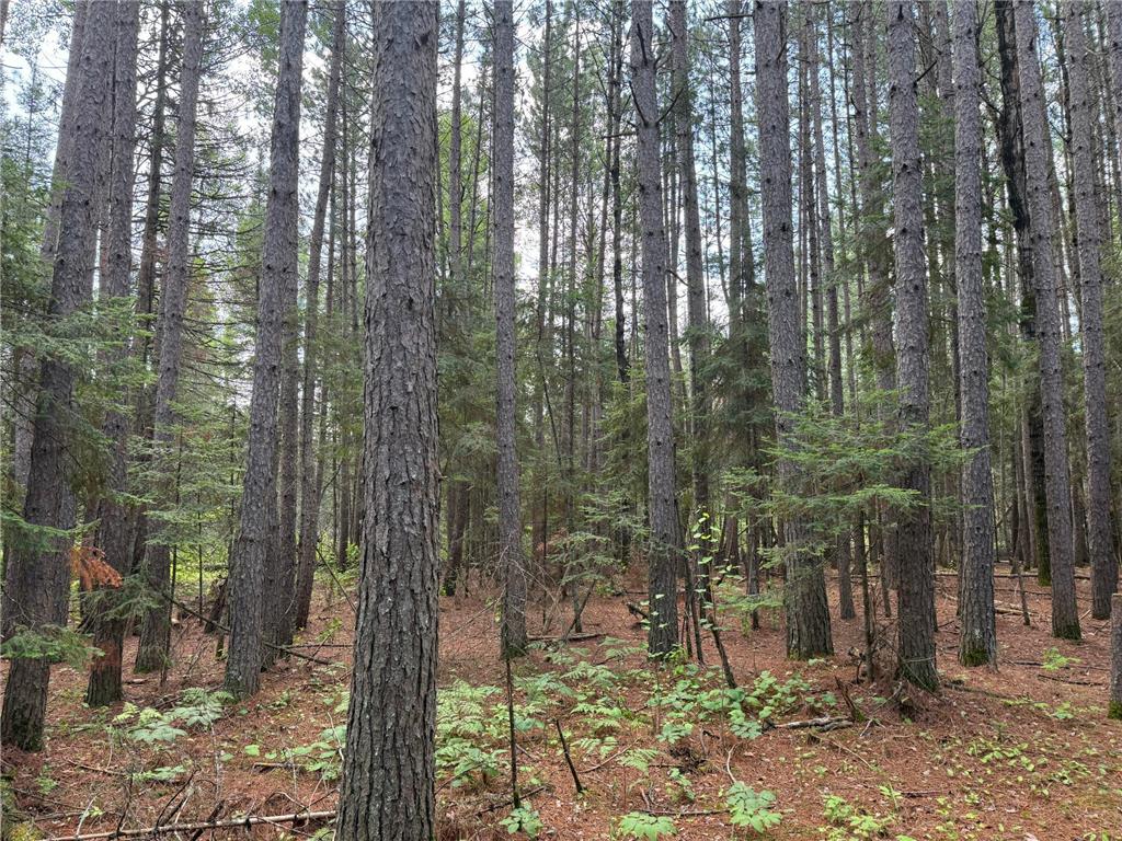 8124 Virginia Ely Rd. Babbitt MN 55706 7061403 image86