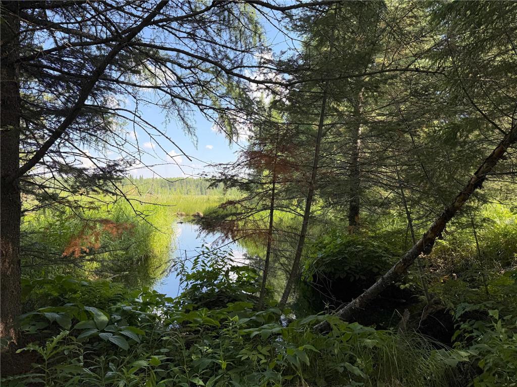 8124 Virginia Ely Rd. Babbitt MN 55706 7061403 image87