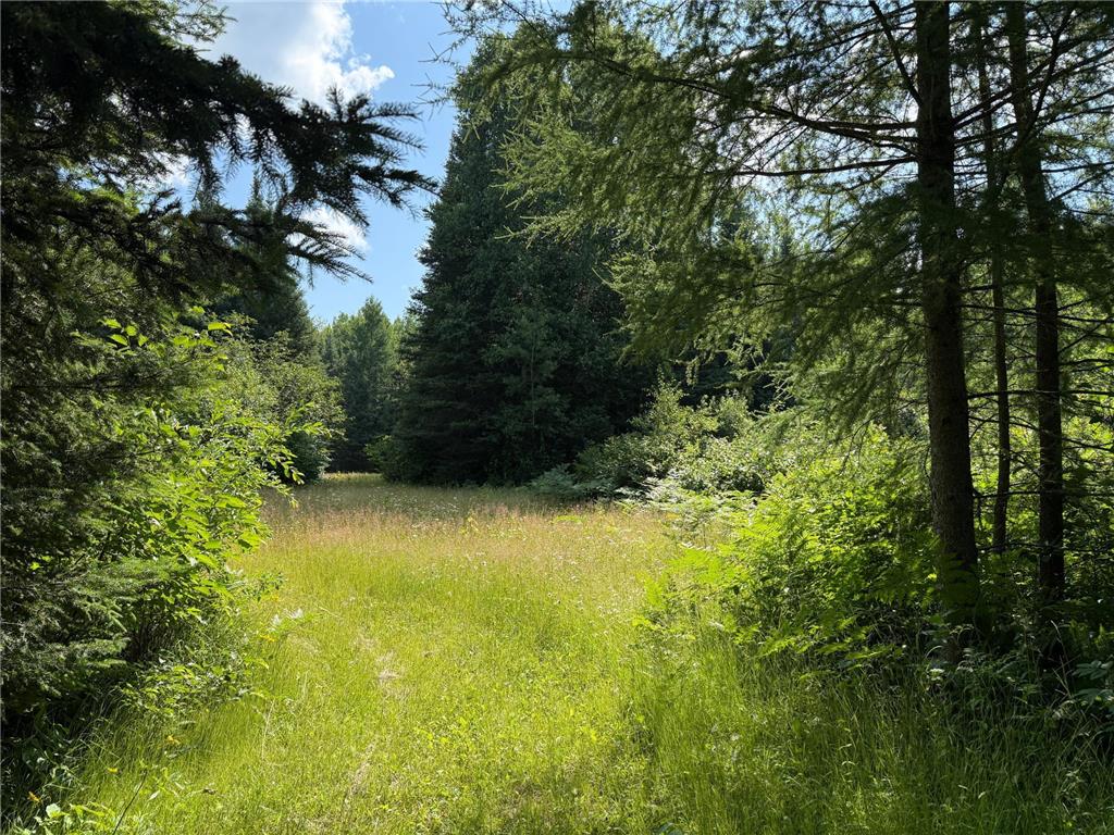 8124 Virginia Ely Rd. Babbitt MN 55706 7061403 image88