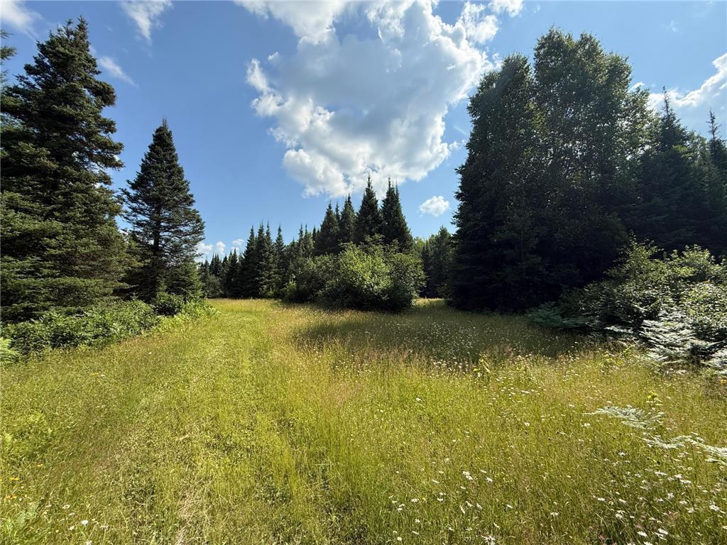 8124 Virginia Ely Rd. Babbitt MN 55706 7061403 image89