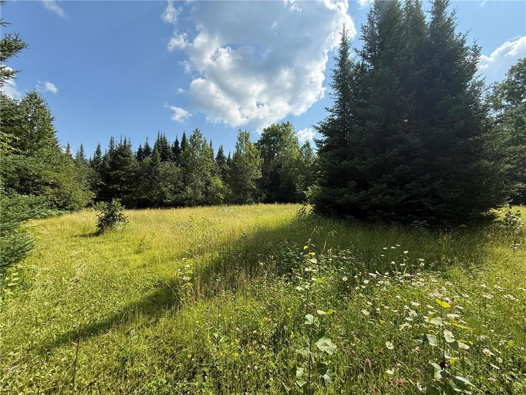 8124 Virginia Ely Rd. Babbitt MN 55706 7061403 image90