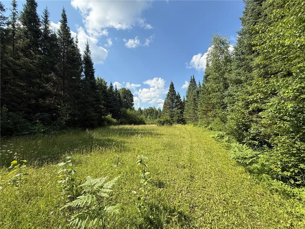 8124 Virginia Ely Rd. Babbitt MN 55706 7061403 image91