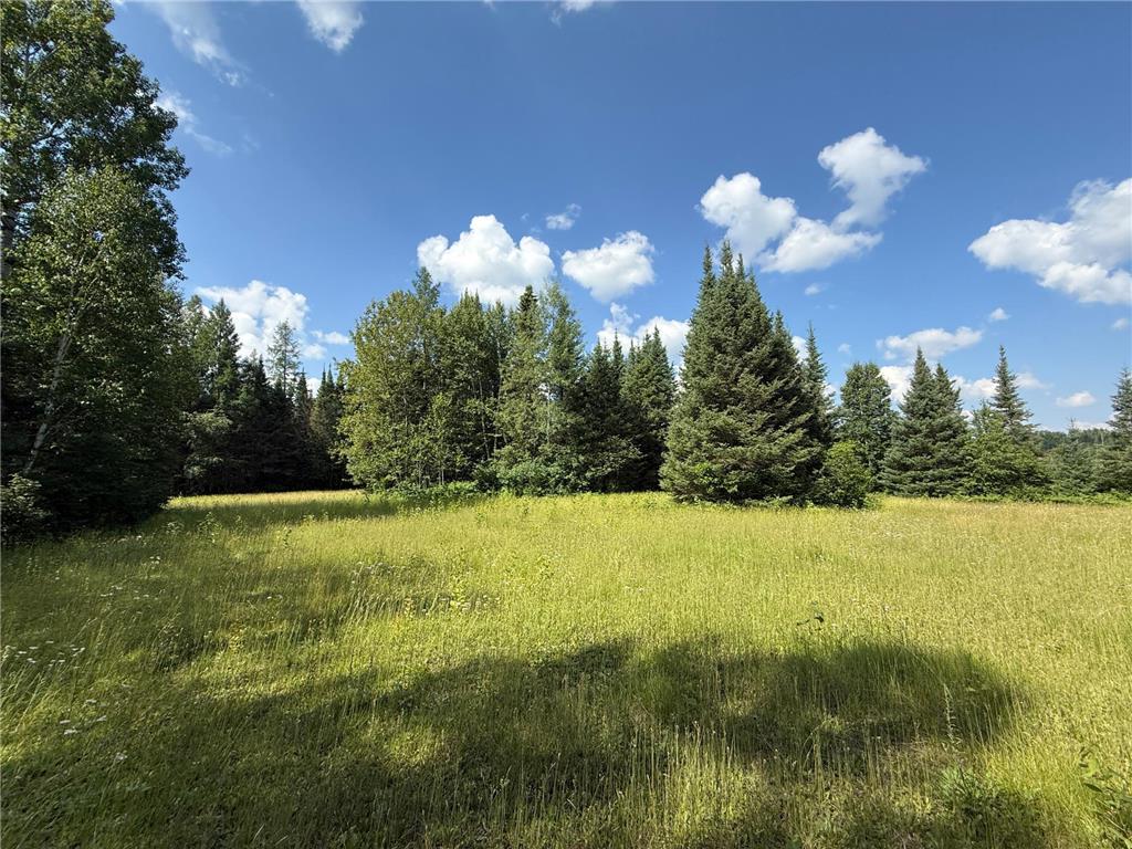 8124 Virginia Ely Rd. Babbitt MN 55706 7061403 image92