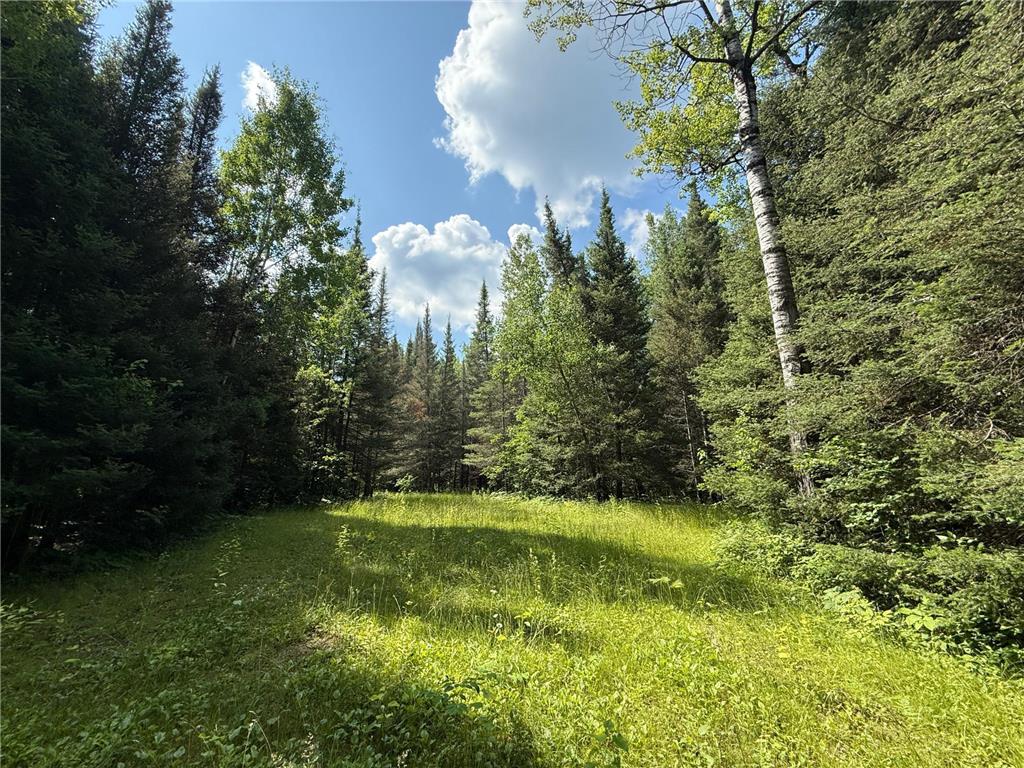 8124 Virginia Ely Rd. Babbitt MN 55706 7061403 image93