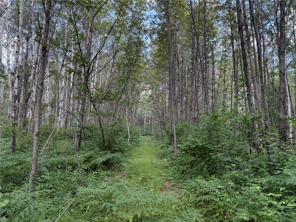 8124 Virginia Ely Rd. Babbitt MN 55706 7061403 image94