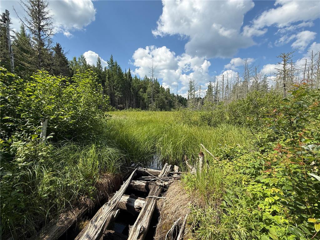 8124 Virginia Ely Rd. Babbitt MN 55706 7061403 image95
