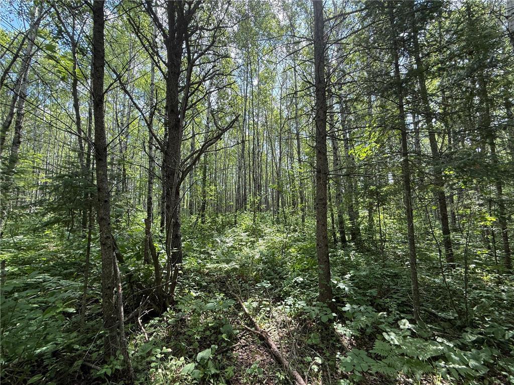 8124 Virginia Ely Rd. Babbitt MN 55706 7061403 image96