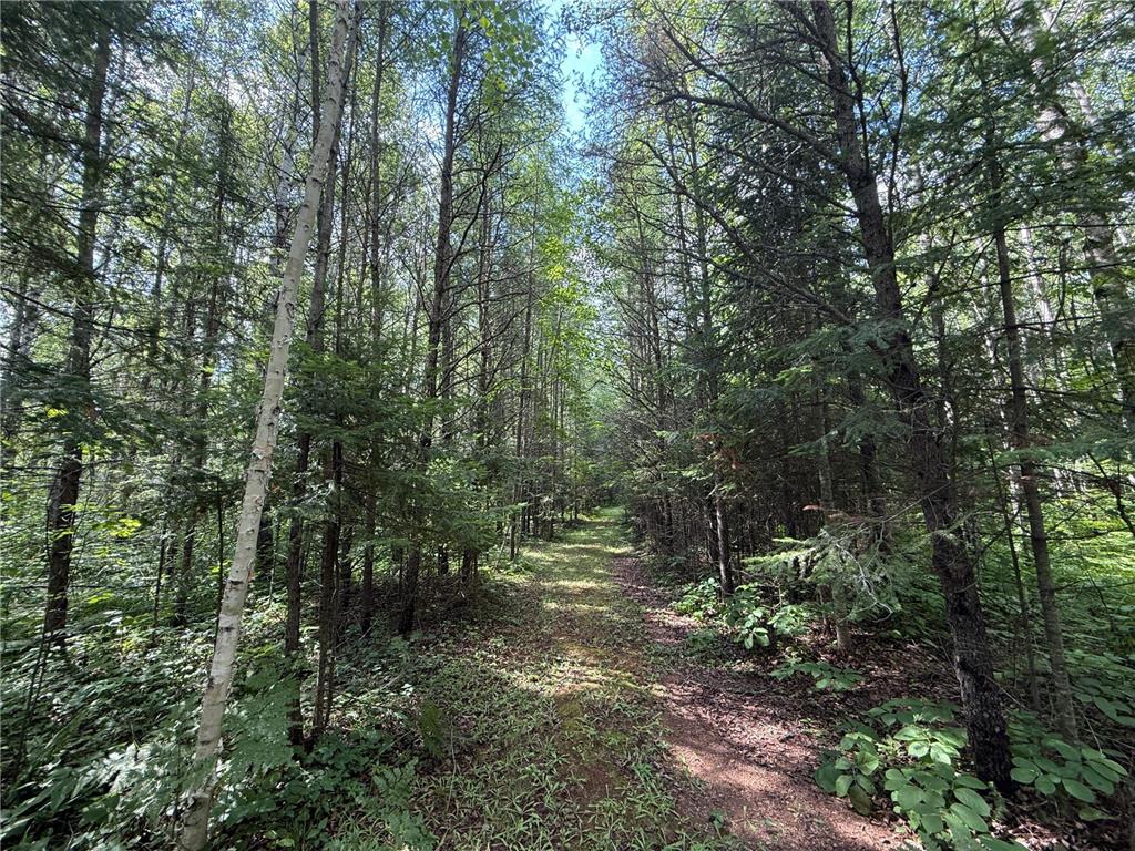8124 Virginia Ely Rd. Babbitt MN 55706 7061403 image97