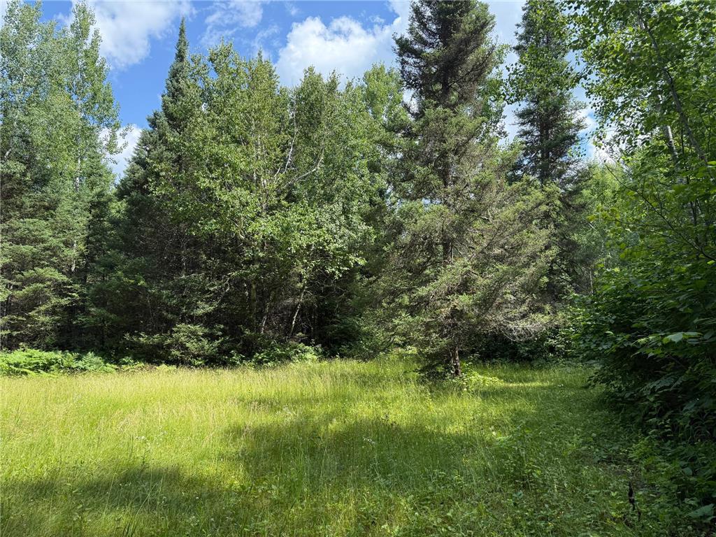 8124 Virginia Ely Rd. Babbitt MN 55706 7061403 image98
