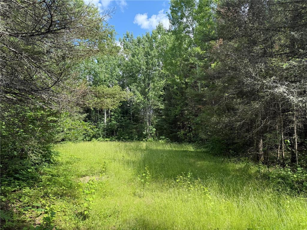 8124 Virginia Ely Rd. Babbitt MN 55706 7061403 image99