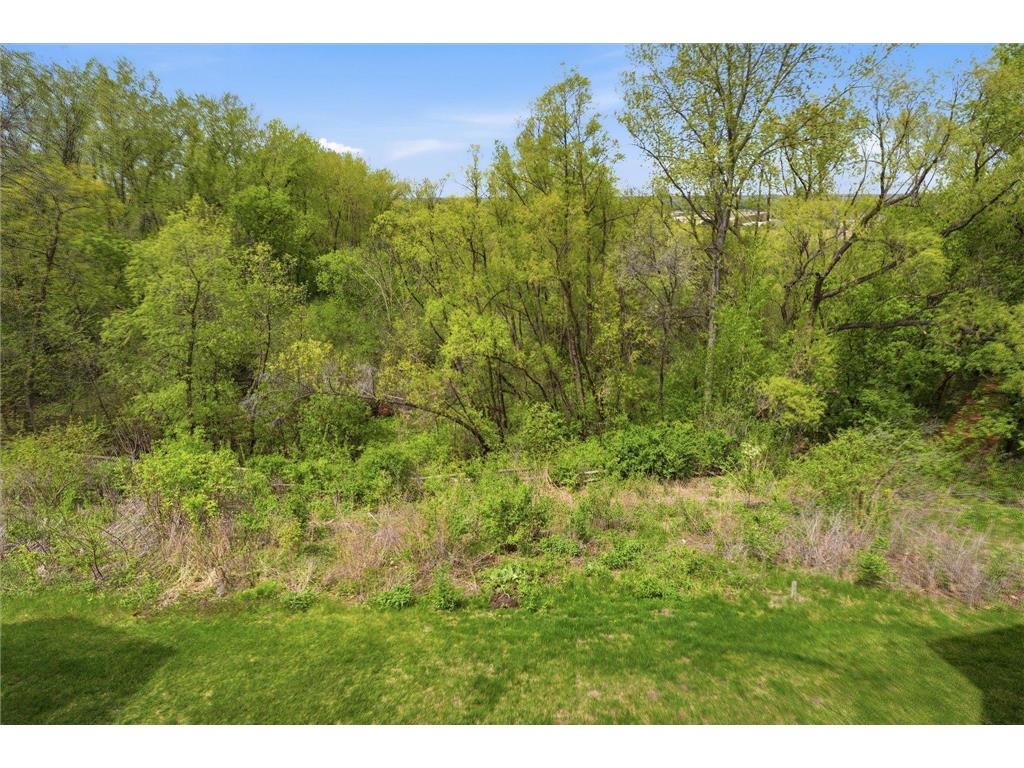 8126 W 132nd Street Savage MN 55378 7068164 image45